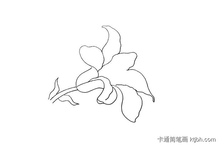 步骤8：接着画出上方最后一片花瓣。