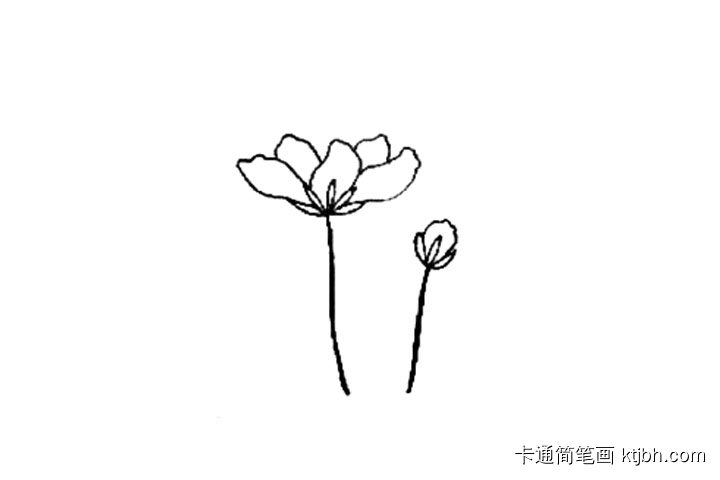 花丛里有小兔子简笔画教程-图4