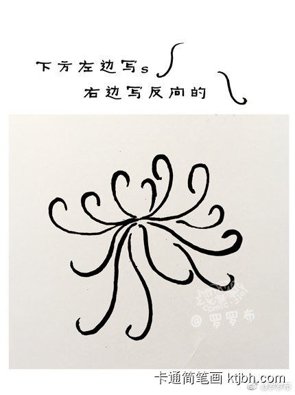 九九重阳赏菊画菊简笔画步骤-图3